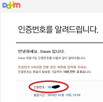 daum验证信息