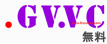 gv-vc 免费ddns
